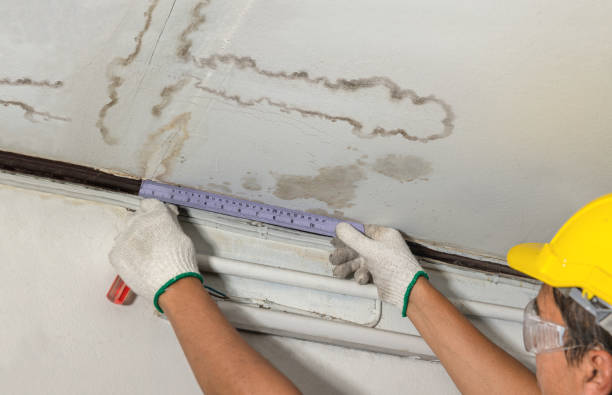 Reliable Water Damage contractor in Boulder, CO by Water Damage Irwin